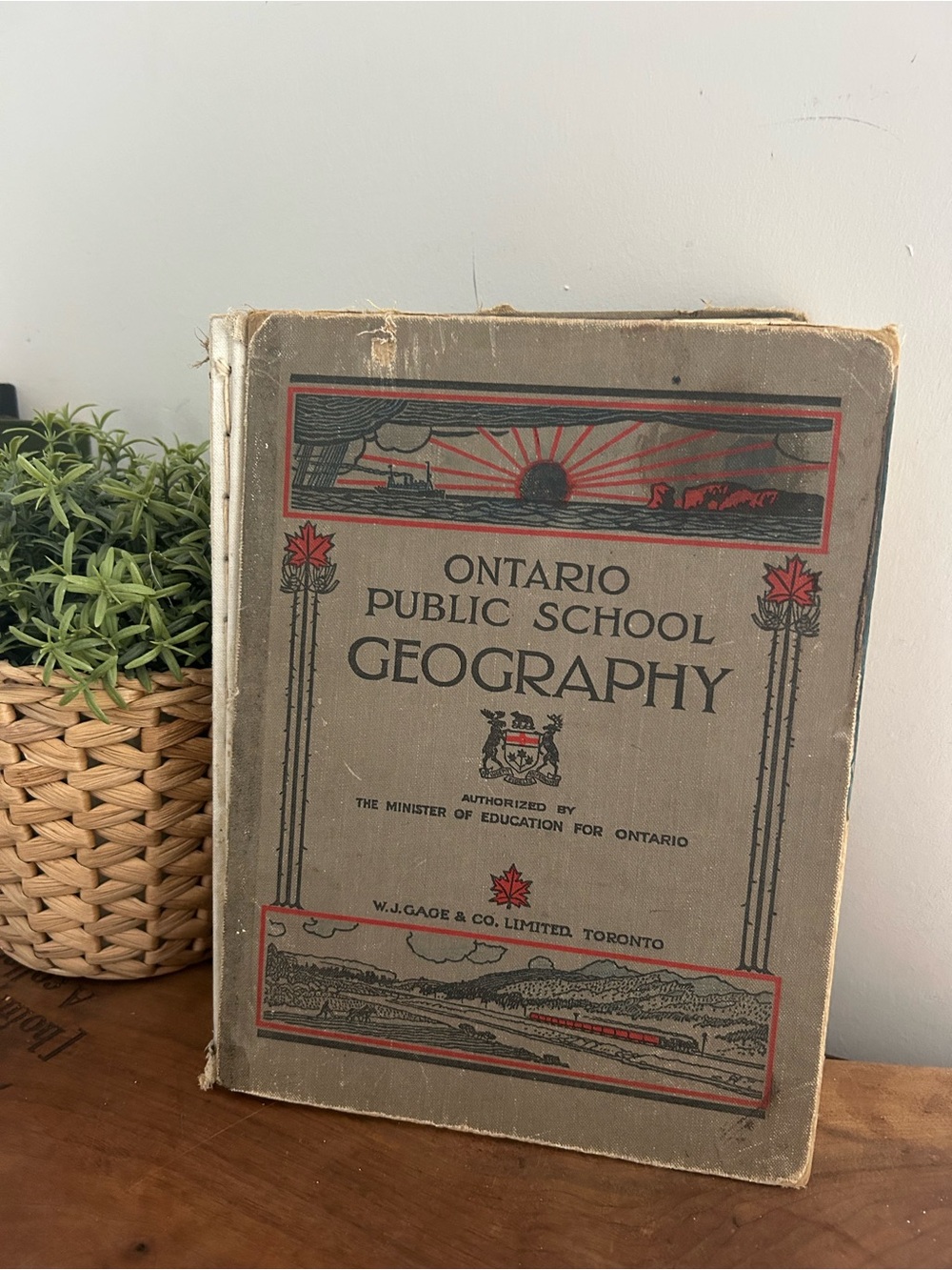 Vintage Ontario Public School Geography Book - Gray Cover